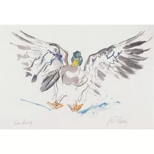 Fritz Hug — Landende Ente.