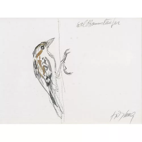 Fritz Hug — "Waldbaumläufer".