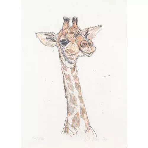 Fritz Hug — Giraffe.