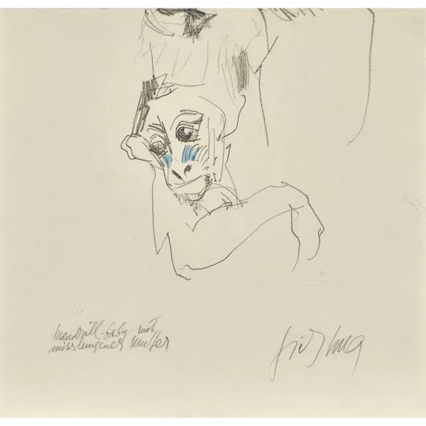 Fritz Hug — "Mandrill-Baby mit misslungener Mutter".