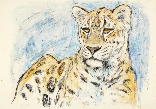 Liegender Leopard