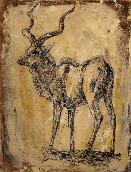Grosser Kudu