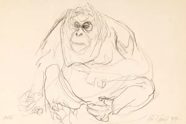 Sitzender Orang-Utan
