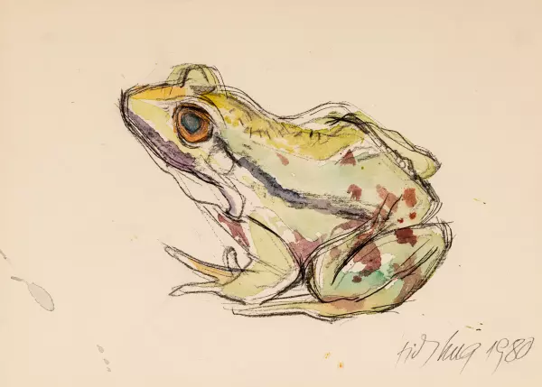 Frosch