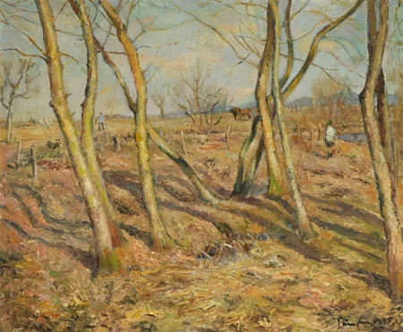 Vorfrühling auf dem Wenslingsfeld