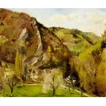 Frühlingsanfang bei Waldenburg