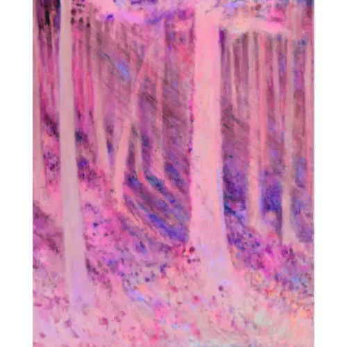 Fritz Pümpin — "Sommerlicht im Wald".