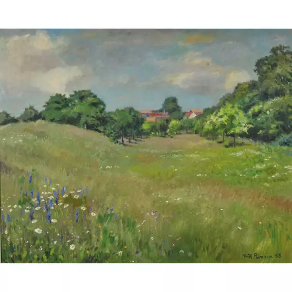 "Sommerwiese bei Wenslingen"