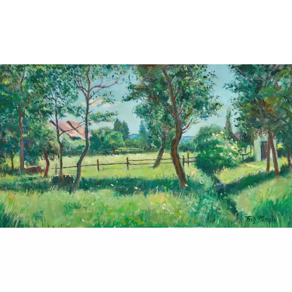 "Sommerwiesen in Rickenbach"