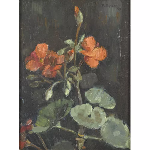 Fritz Ryser — Geranienstaude.