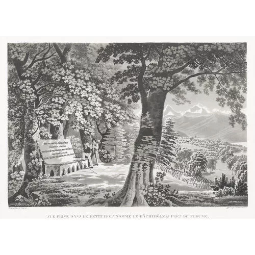 GABRIEL LORY — "Vue prise dans le petit bois nommé le Bächhölzli...".