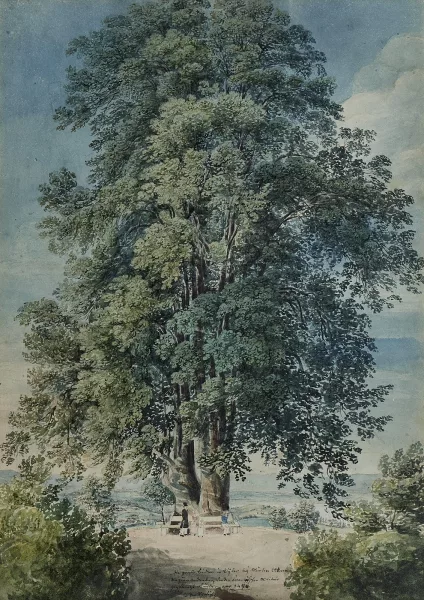 GABRIEL LORY — Grand arbre