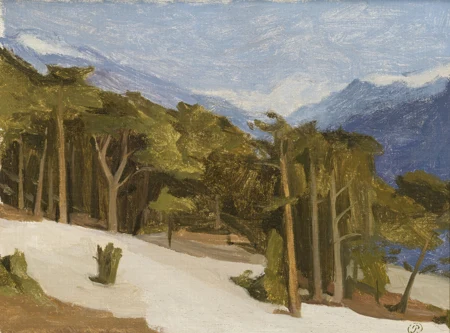 Forêt