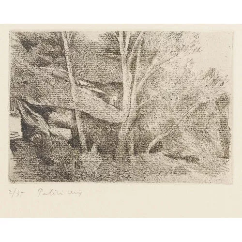 Gérard de Palézieux — "Rochers et arbres à Saint-Rémy".
