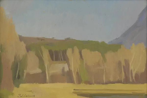Gérard de Palézieux (1919-2012) — Genève Enchères