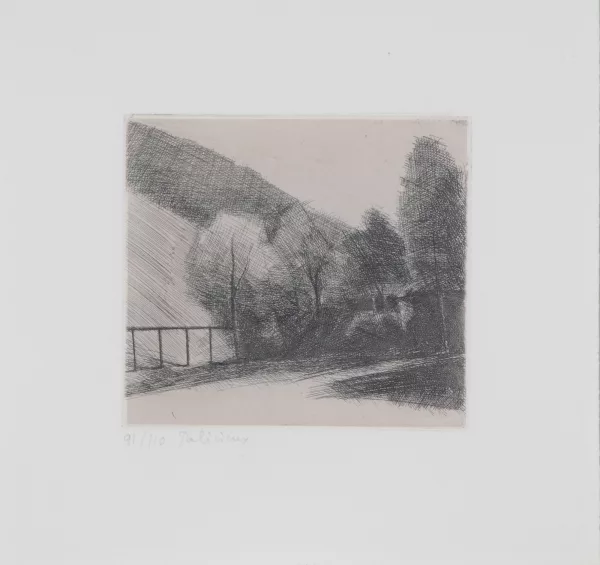 Gérard de Palézieux — 2 Blätter: Paysage; Paysage forestier