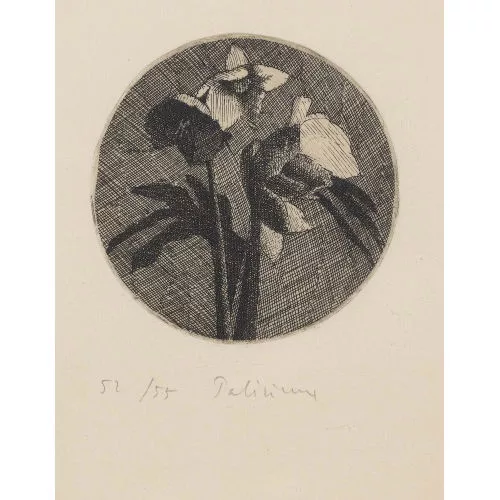 Gérard de Palézieux — "Les roses de noël".