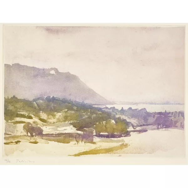Gérard de Palézieux — Paysage.