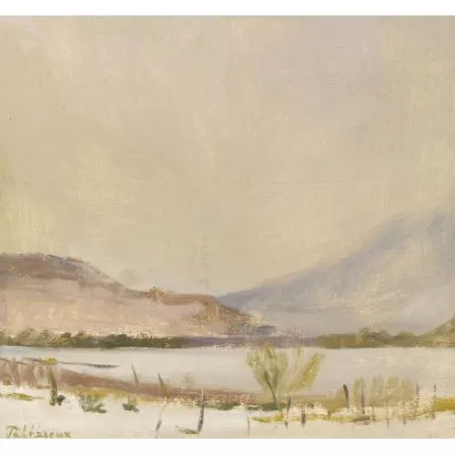 Le Rhône à Finges