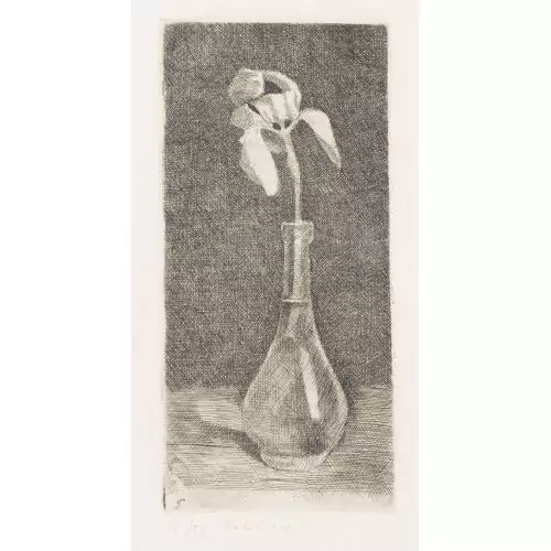 "Bouteille avec Iris"