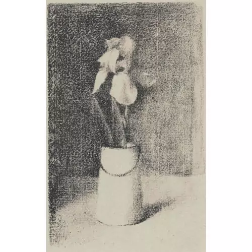 "Iris"