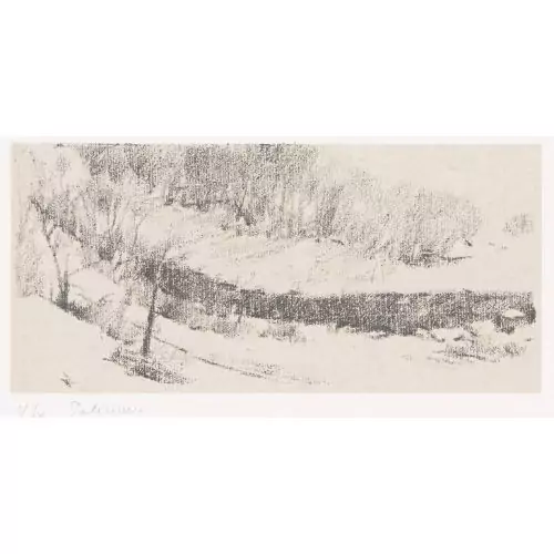 "Le Rhône sous Varone"
