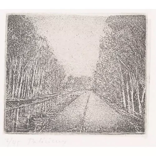 "Canal aux Grangettes"