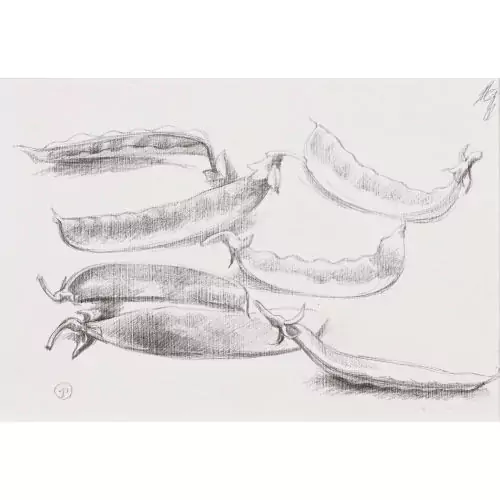 Les haricots