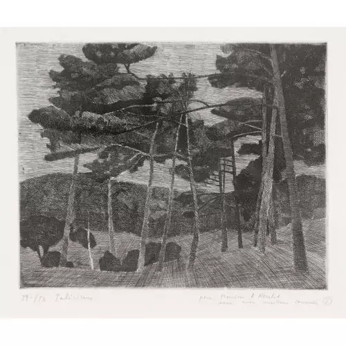 "Forêt de Finges"