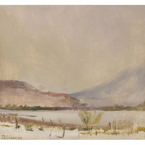 Le Rhône à Finges