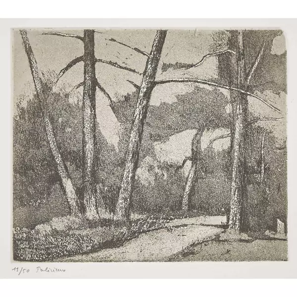 "Pinède"