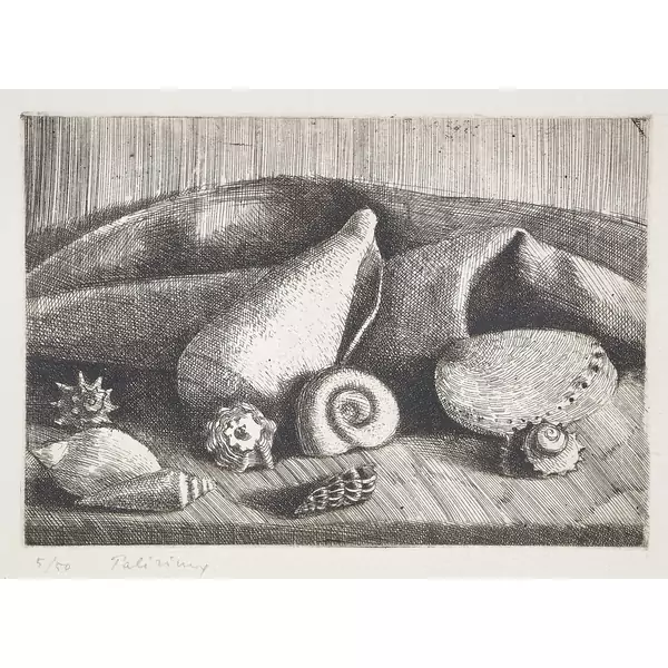 "Coquillages"
