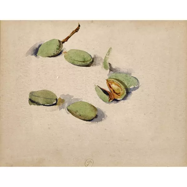 Nature morte aux amandes