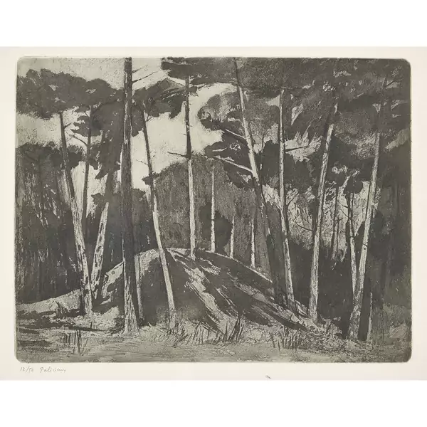 "Pinède de Finges"