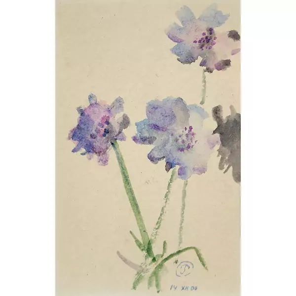 Fleurs