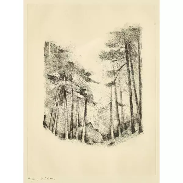 "Pinède"