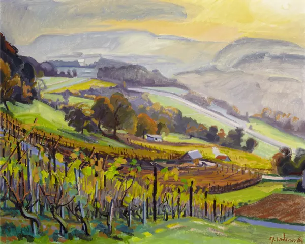 Weinberg in Gebenstorf