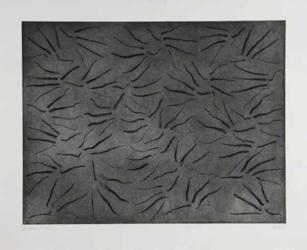 Gianfredo Camesi — Dimension unique, 1981