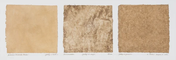 Gianfredo Camesi — Dimension unique, 1974