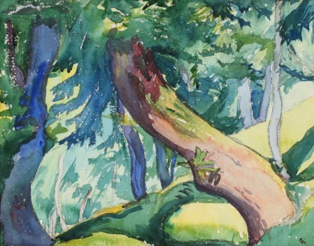Selva di castagni Bregaglia, Um 1905/10.