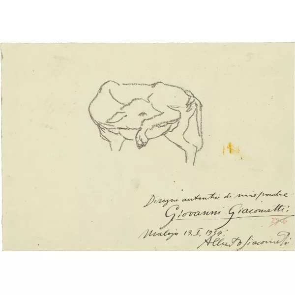 Giovanni Giacometti — Sich putzendes Kälbchen
