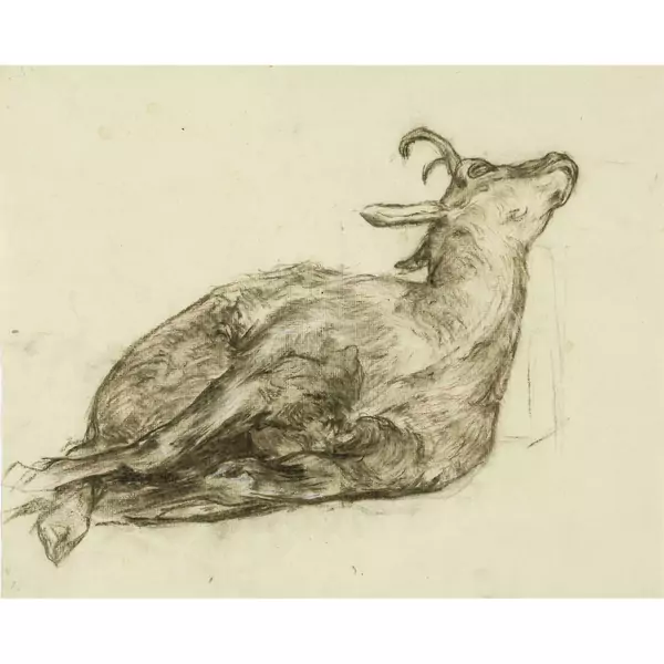 Giovanni Giacometti — Eine tote Gämse — Galerie Kornfeld