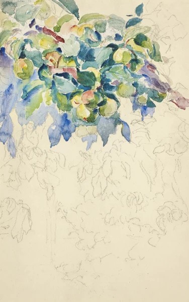 Giovanni Giacometti — Apfelzweig (Studie)