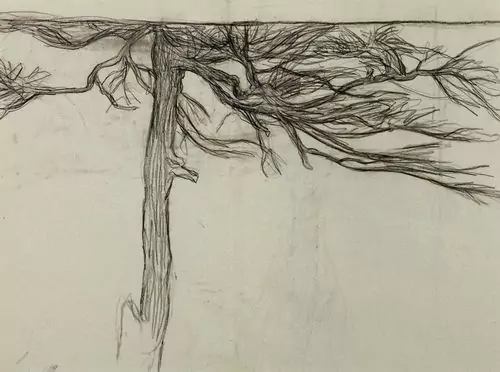 GIOVANNI SEGANTINI — Studie zu einem Baum. Um 1898. — Koller Auktionen