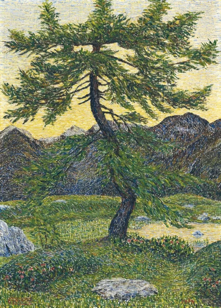 Gottardo Segantini — FÖHRE IN GEBIRGSLANDSCHAFT, 1954PINE IN MOUNTAIN LANDSCAPE, 1954