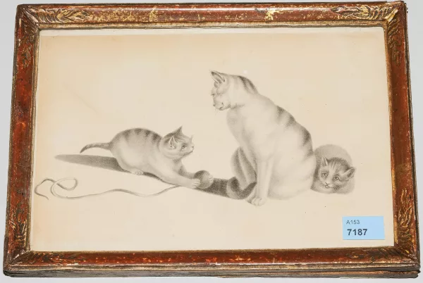 GOTTFRIED MIND — , nach Spielende Katzen