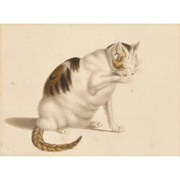 GOTTFRIED MIND — Sich putzende Katze.