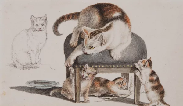 GOTTFRIED MIND — Spielende Katzen