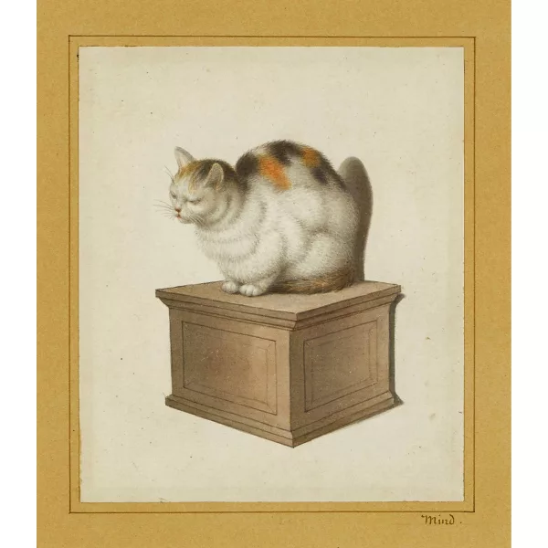 GOTTFRIED MIND — Sitzende Katze auf einem Podest.