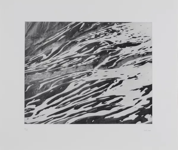Guido Baselgia — Diptychon. Terrenzlas 1-2, 2008